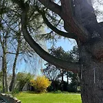Arc En Ciel Du Mont 3* פונטורסון