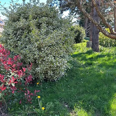 Arc En Ciel Du Mont 3*