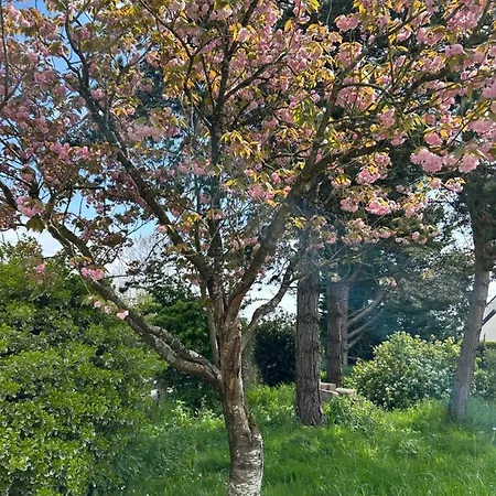 Arc En Ciel Du Mont B&B 뽕또흑송