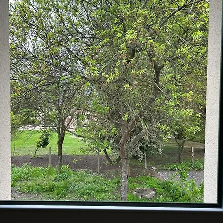 Arc En Ciel Du Mont 뽕또흑송