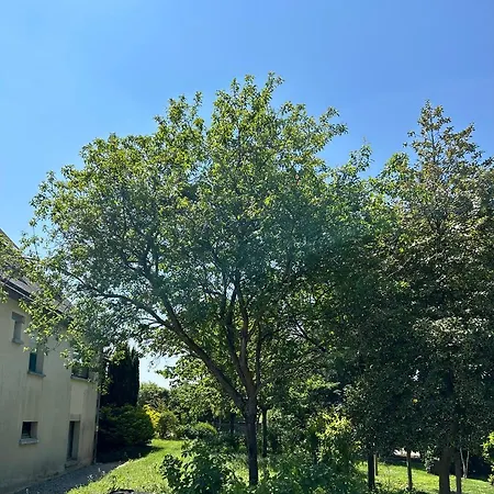 Arc En Ciel Du Mont 뽕또흑송