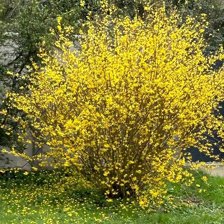 Arc En Ciel Du Mont 3* Pontorson