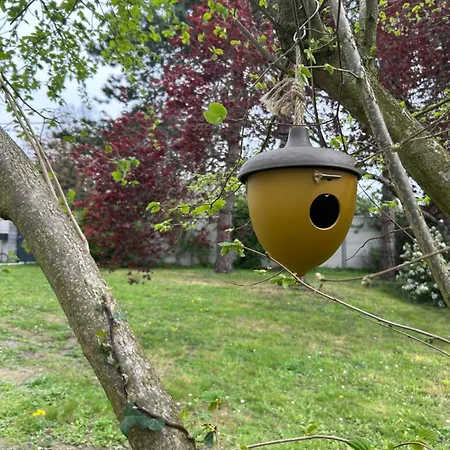 Arc En Ciel Du Mont 뽕또흑송