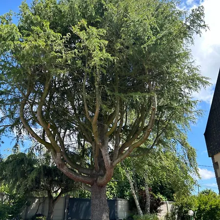 B&B Arc En Ciel Du Mont