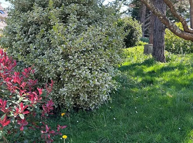 Arc En Ciel Du Mont 3*