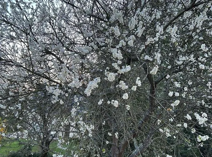 Couette-café Arc En Ciel Du Mont Pontorson