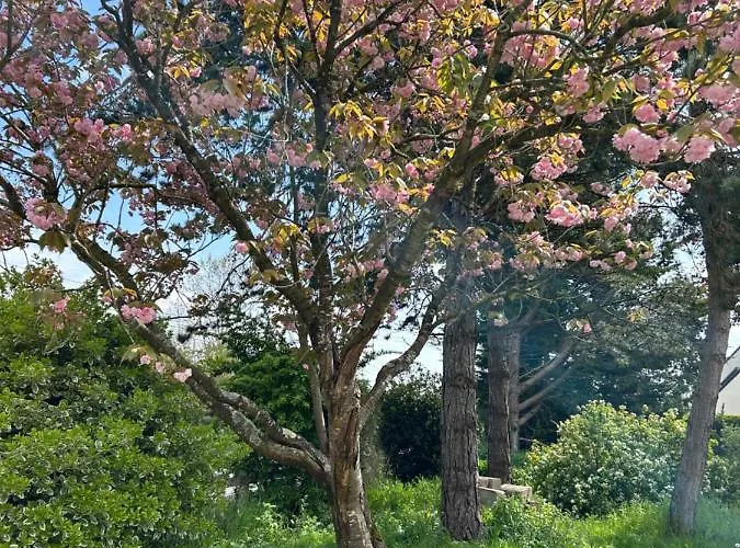 Arc En Ciel Du Mont Bed & Breakfast Pontorson