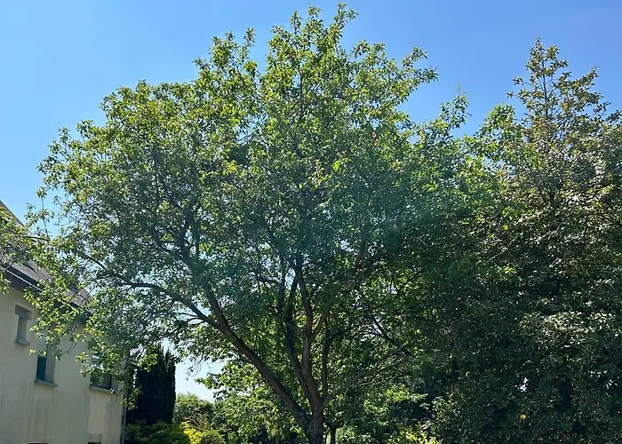 Arc En Ciel Du Mont Pontorson