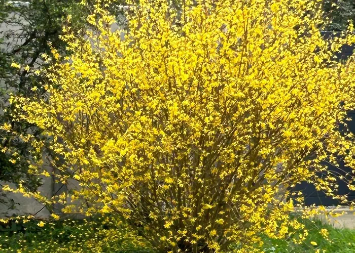 Arc En Ciel Du Mont 3* Pontorson