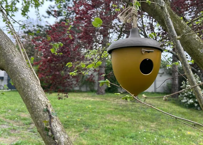 Arc En Ciel Du Mont Pontorson