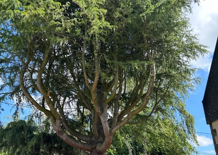 Bed & Breakfast Arc En Ciel Du Mont