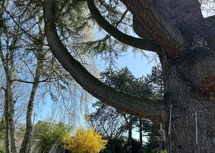 Arc En Ciel Du Mont 3* Pontorson